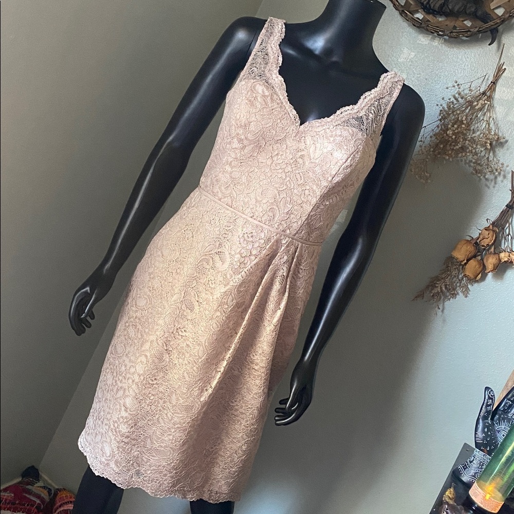David's Bridal Lace Midi Dress in Cream
